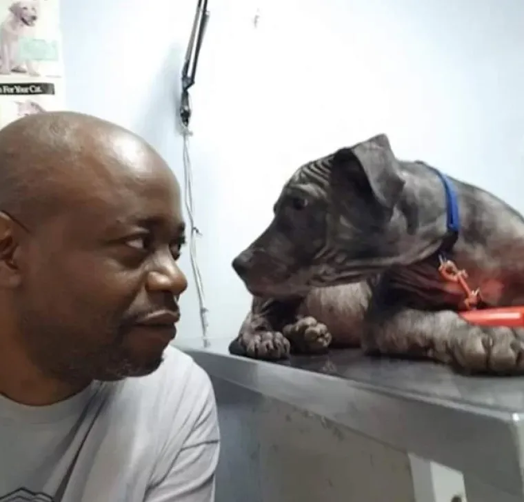 Ima li ne&scaron;to slađe od ovoga? Pogledajte preslatke fotografije tek udomljenih životinja