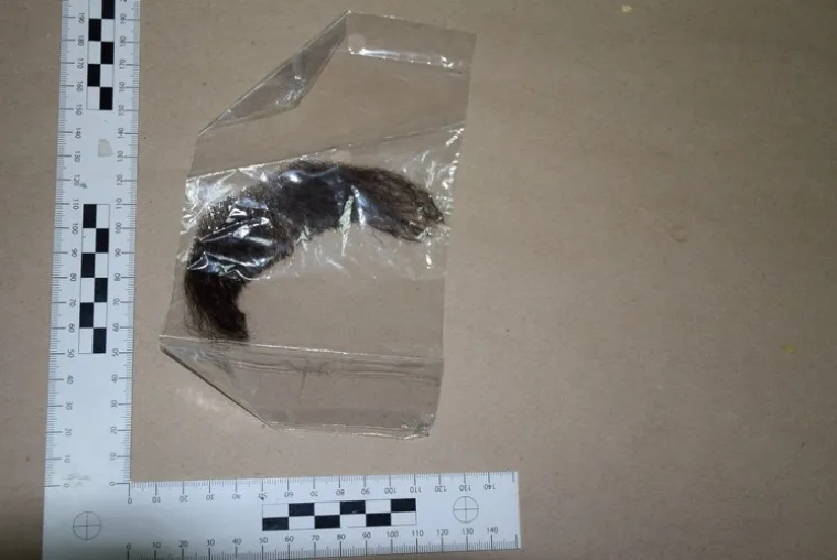 Pogledajte njihov alat, periku i lažne brkove: Mladi Rusi poku&scaron;ali opljačkati bankomat u Karlovcu