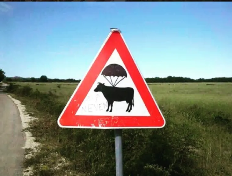 Samo u Zadru: Ove tragikomične prizore možete vidjeti jedino tamo