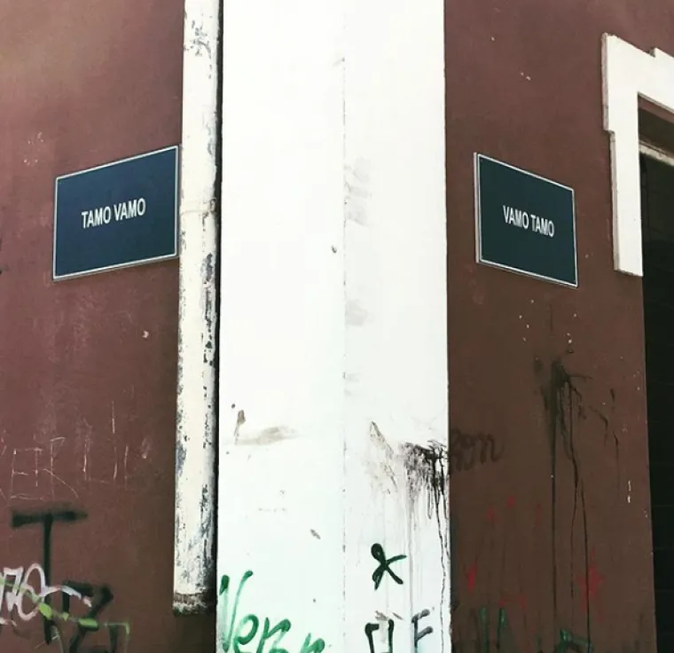 Samo u Zadru: Ove tragikomične prizore možete vidjeti jedino tamo