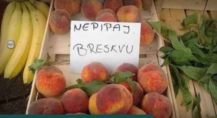 Samo u Zadru: Ove tragikomične prizore možete vidjeti jedino tamo