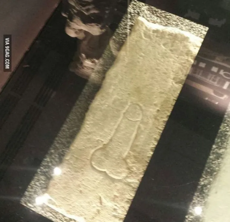 Samo u Zadru: Ove tragikomične prizore možete vidjeti jedino tamo