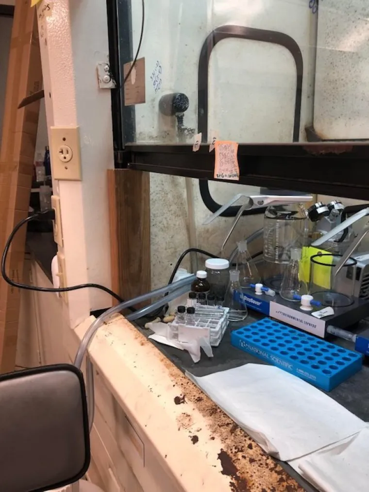 PITANJE JE KAKO SU UOPĆE JO&Scaron; ŽIVI: Jedino obja&scaron;njenje je uzrečica: 'Vi&scaron;e sreće nego pameti'