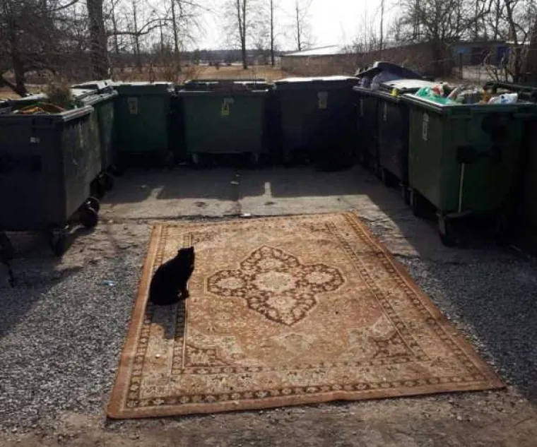 PUTIN NE ŽELI DA VIDITE OVE PRIZORE S RUSKIH ULICA! Amerikanci ne mogu smisliti bolju propagandu ni da žele