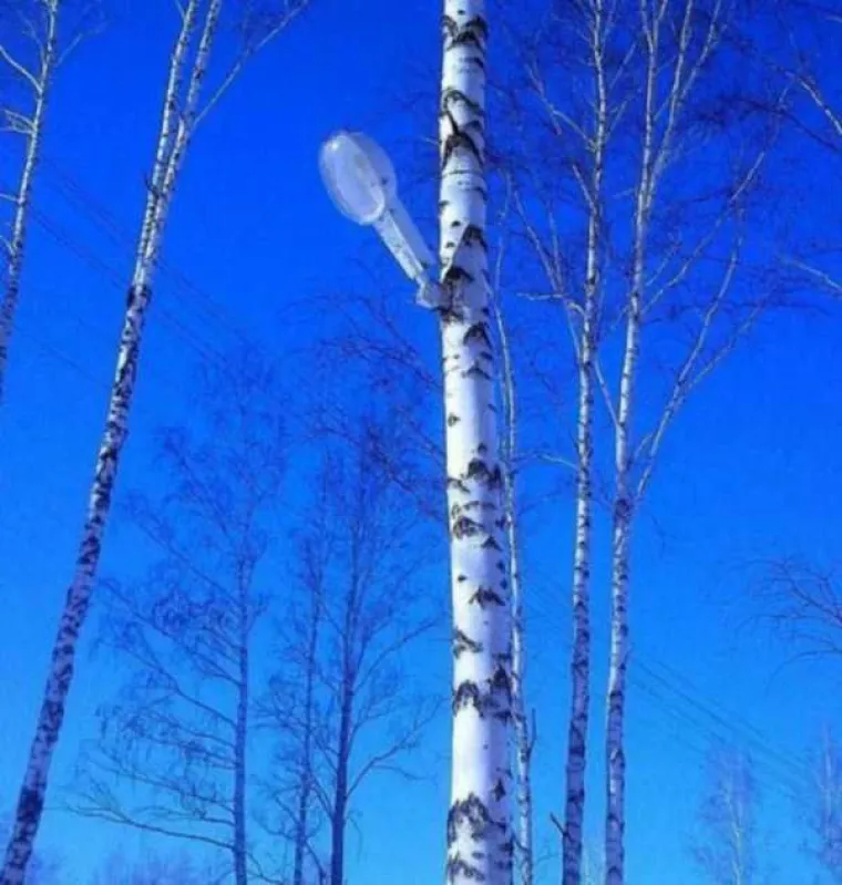 PUTIN NE ŽELI DA VIDITE OVE PRIZORE S RUSKIH ULICA! Amerikanci ne mogu smisliti bolju propagandu ni da žele