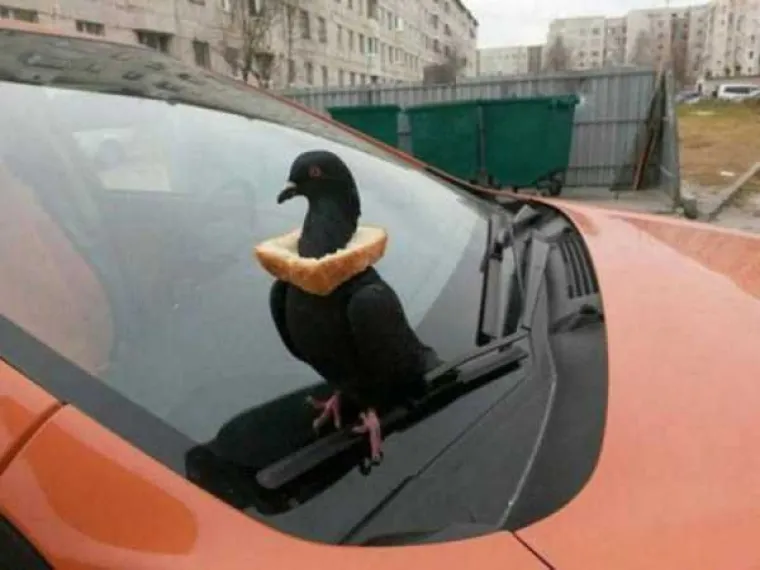 PUTIN NE ŽELI DA VIDITE OVE PRIZORE S RUSKIH ULICA! Amerikanci ne mogu smisliti bolju propagandu ni da žele