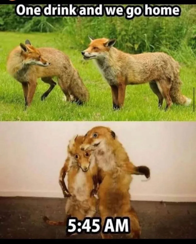 A KAKO STE VI PROVELI VIKEND? Ova ekipa se recimo dosta slabo svega sjeća, ali srećom postoje dokazi...