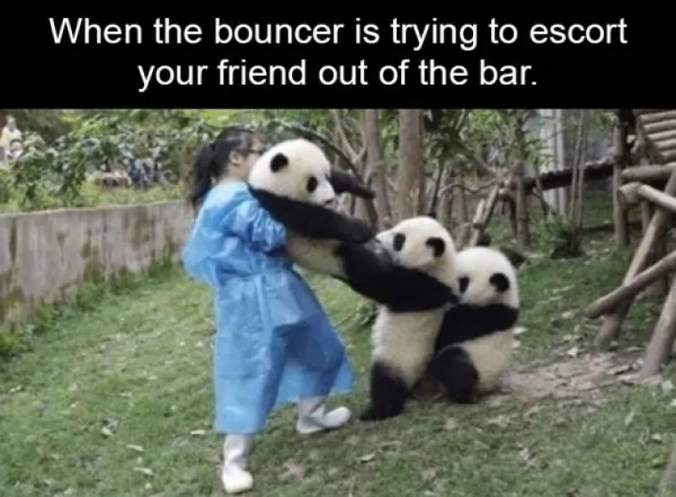 A KAKO STE VI PROVELI VIKEND? Ova ekipa se recimo dosta slabo svega sjeća, ali srećom postoje dokazi...