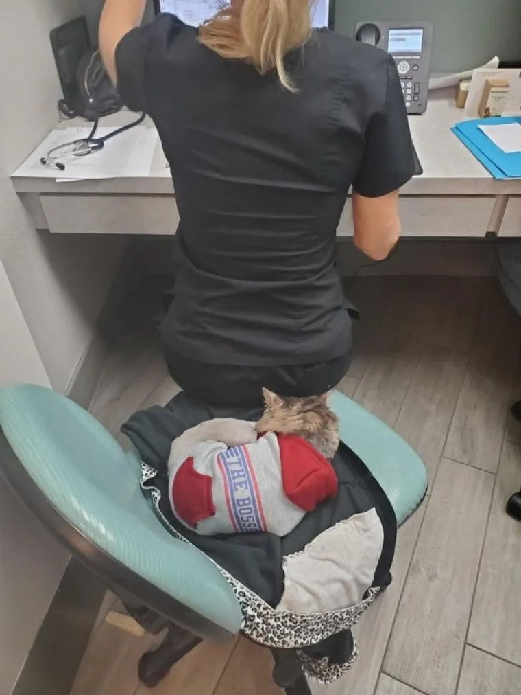 EVO ŠTO LJUDI ZAPRAVO RADE DOK SU NA POSLU: Neki su ovaj put stvarno pretjerali, pa pogledajte ih samo...