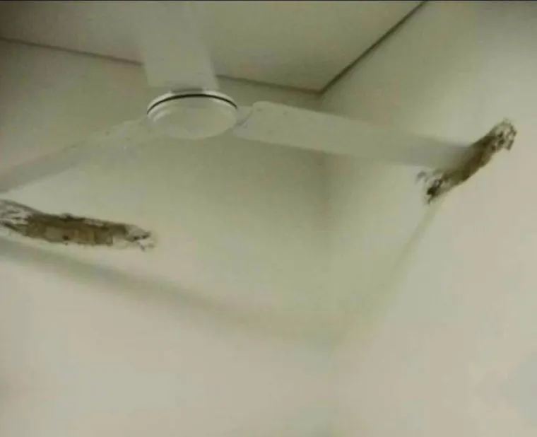 "Ma dobro je to": Ovi majstori sigurno nisu mislili glavom dok su radili