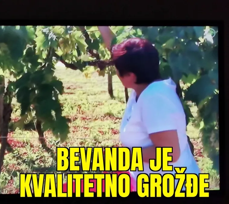 ''Miro dobro &scaron;prica'': Ovo su najbolje izjave iz 'Ljubav je na selu'