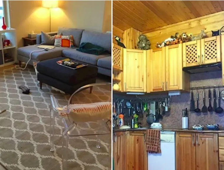 Testirajte va&scaron; vid: Možete li pronaći mačke na svim slikama?