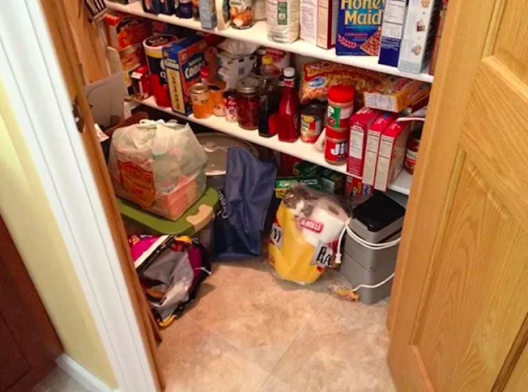 Testirajte va&scaron; vid: Možete li pronaći mačke na svim slikama?