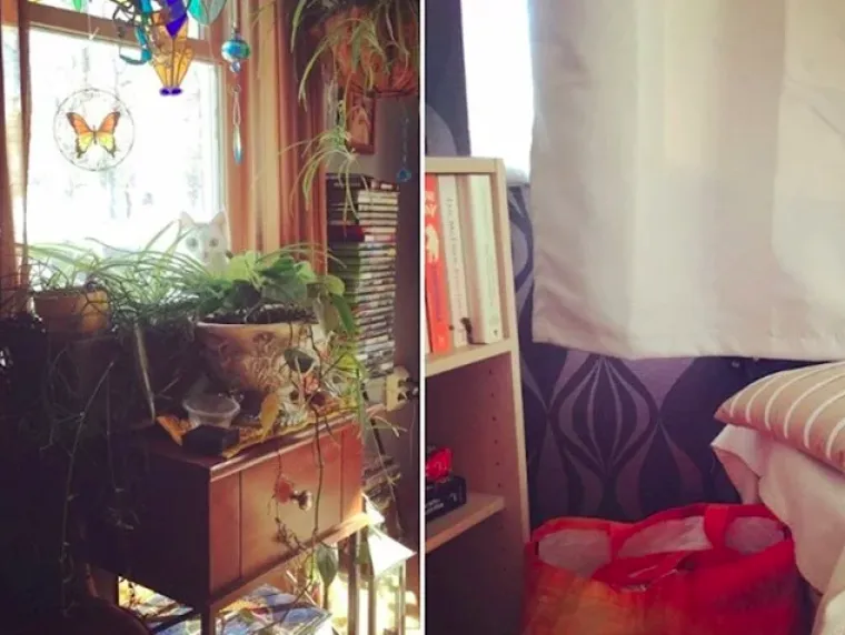 Testirajte va&scaron; vid: Možete li pronaći mačke na svim slikama?