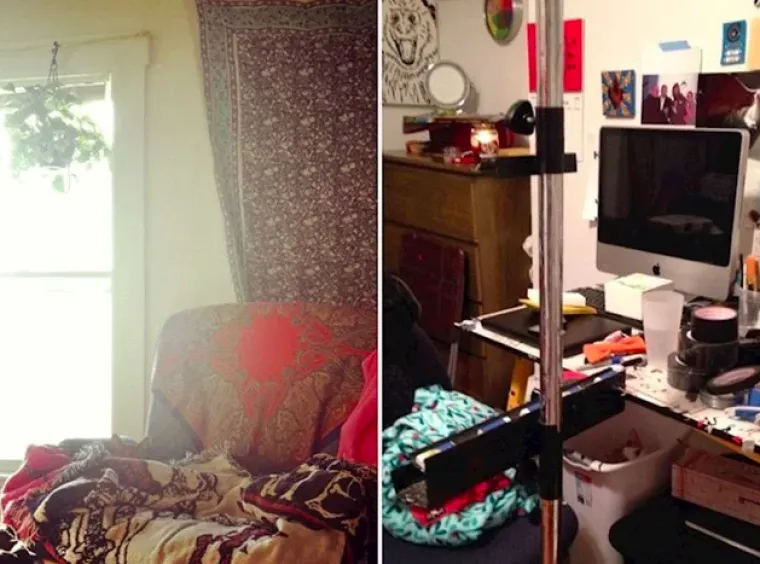 Testirajte va&scaron; vid: Možete li pronaći mačke na svim slikama?