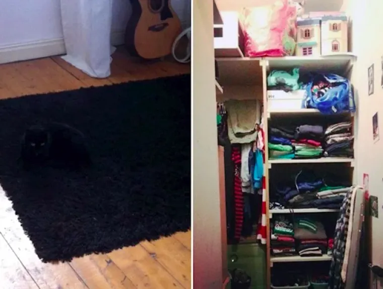 Testirajte va&scaron; vid: Možete li pronaći mačke na svim slikama?