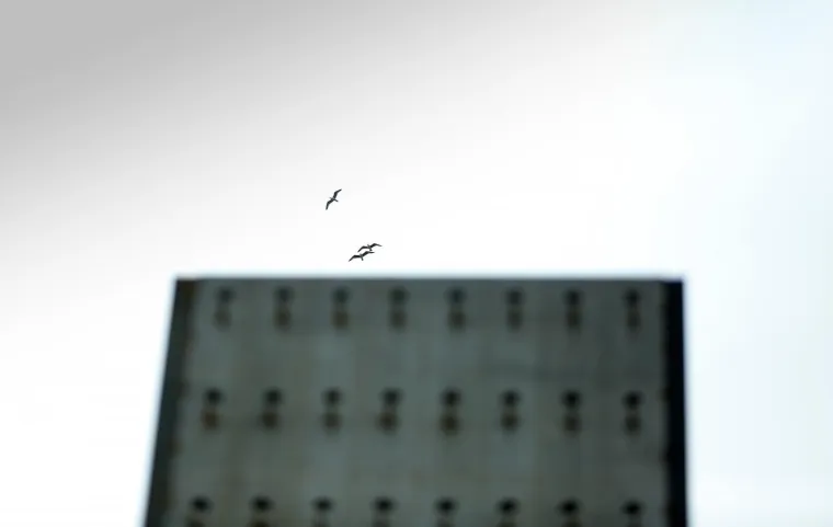 Neboder za ptice sa 160 ptičjih stanova postavljen u Rijeci