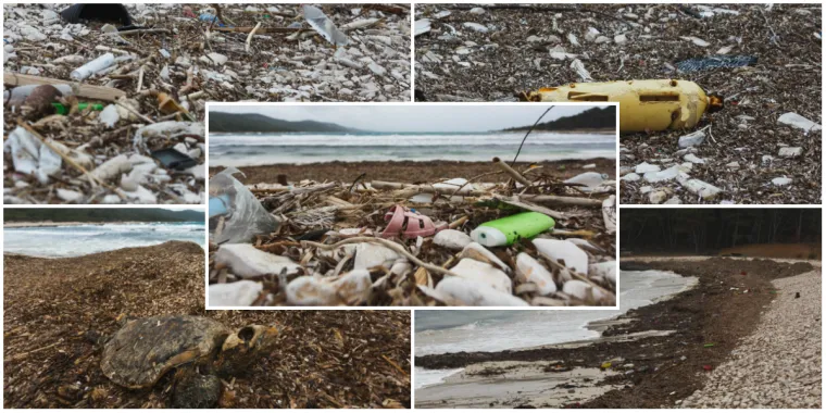 Sramota u hrvatskom biseru: Boce, strvine, kante i ostalo smeće zatrpale jednu od najljep&scaron;ih plaža!