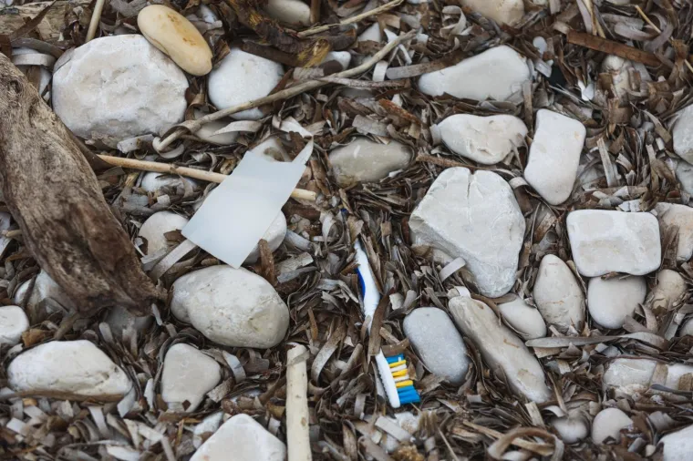 Photo: Marko Dimic/PIXSELL