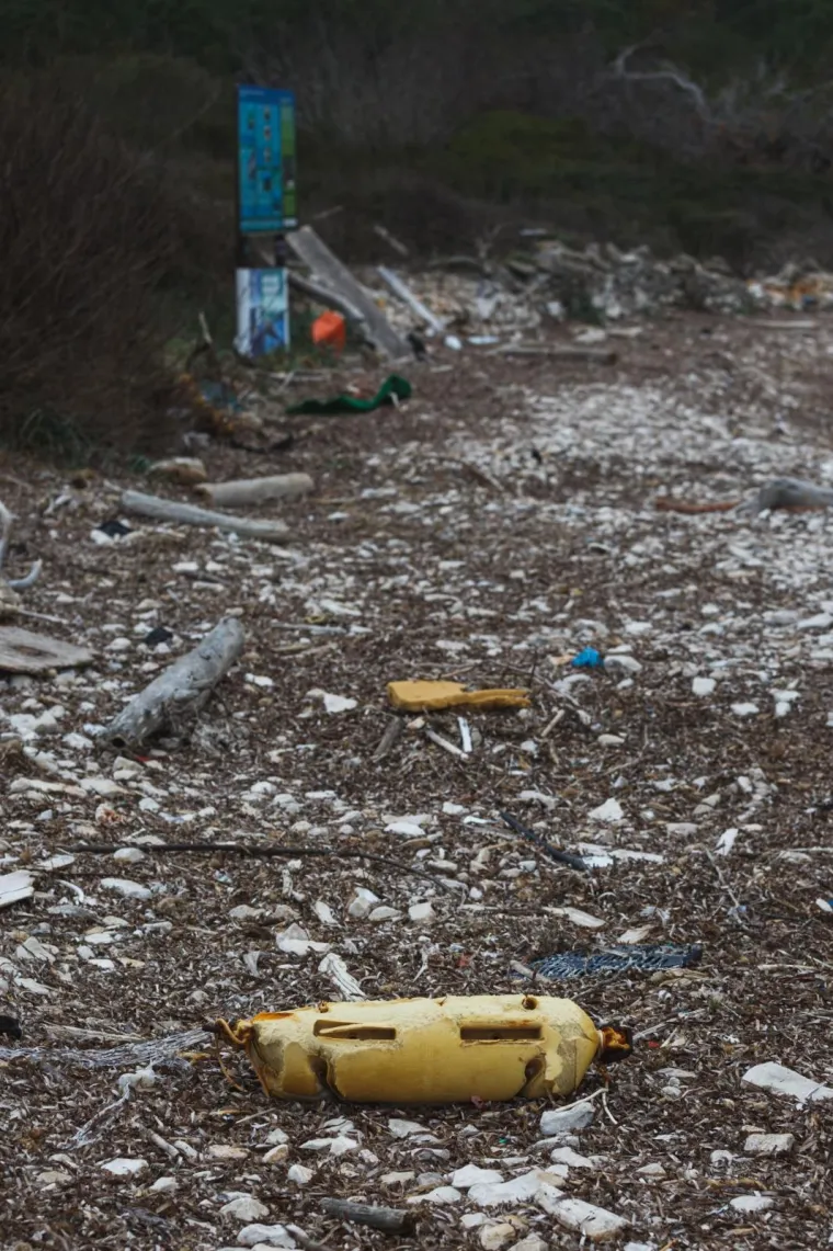 Photo: Marko Dimic/PIXSELL