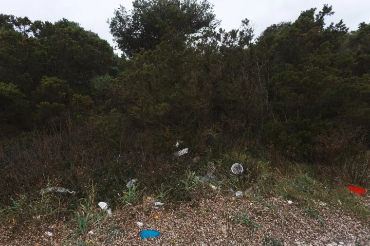 Photo: Marko Dimic/PIXSELL