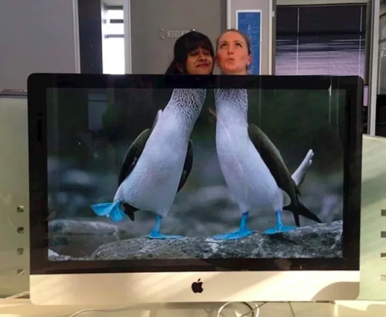 Vi&scaron;ak slobodnog vremena? Pogledajte &scaron;to ovi radnici rade dok &scaron;ef ne gleda