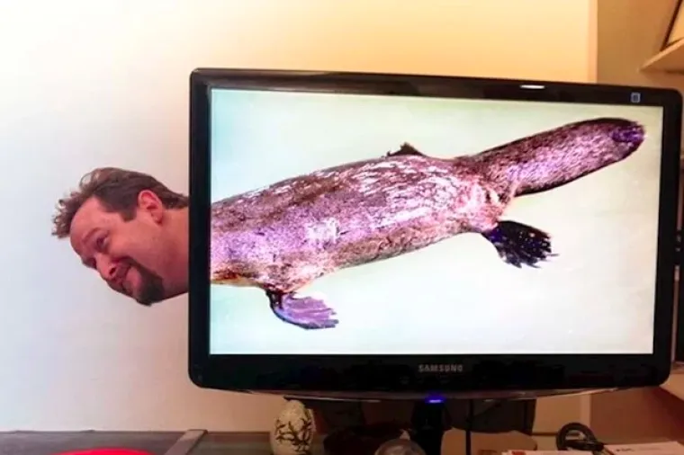 Vi&scaron;ak slobodnog vremena? Pogledajte &scaron;to ovi radnici rade dok &scaron;ef ne gleda