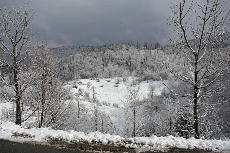 Nedostaje vam snijeg? Pogledajte ovu snježnu idilu u Gorskom kotaru!