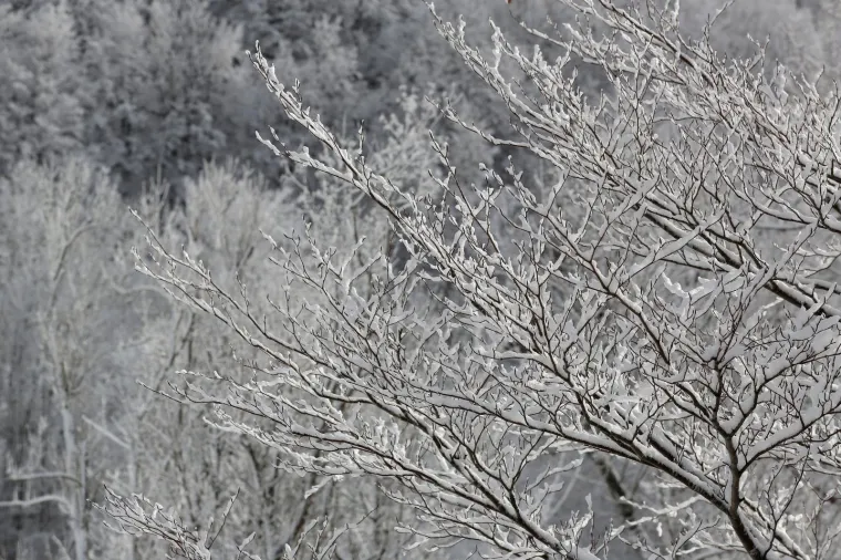 Nedostaje vam snijeg? Pogledajte ovu snježnu idilu u Gorskom kotaru!
