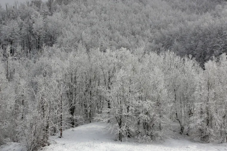 Nedostaje vam snijeg? Pogledajte ovu snježnu idilu u Gorskom kotaru!