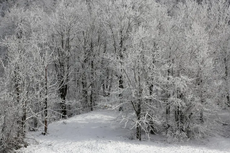 Nedostaje vam snijeg? Pogledajte ovu snježnu idilu u Gorskom kotaru!