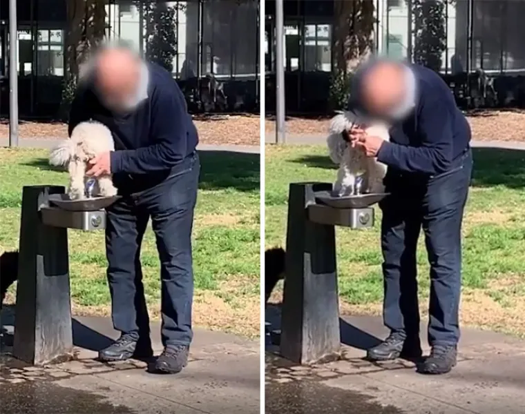 NEKI LJUDI ZAISTA NE ZASLUŽUJU BITI NA OVOM PLANETU: Pa zašto su ovo napravili???