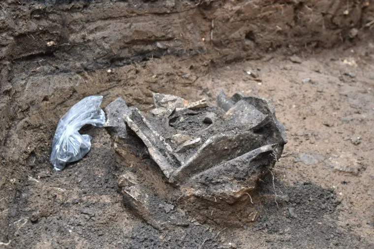 Iznimno arheolo&scaron;ko otkriće! Pronađeni histarski žarni grobovi iz razdoblja prije rimske vladavine