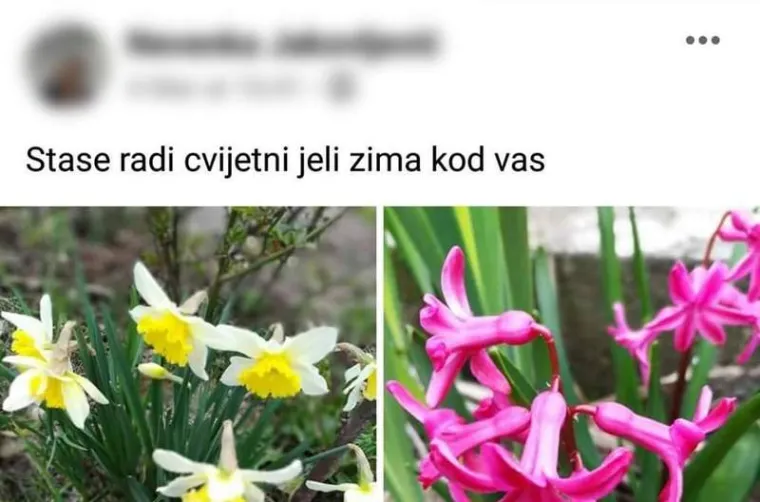 'Tijedan polu pismenosti': Ove pravopisne pogre&scaron;ke će vas nasmijati do suza!
