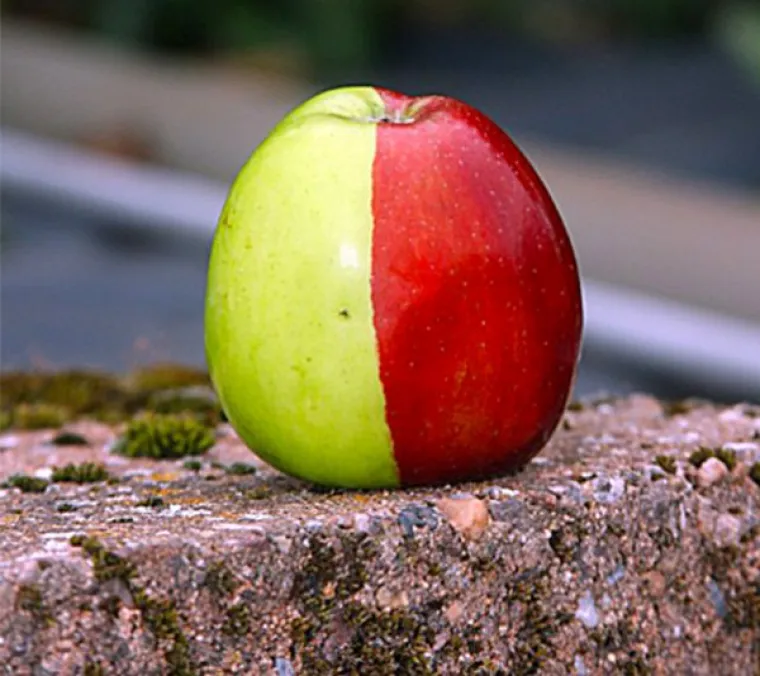 DVAPUT ĆETE PROVJERITI: Fotografije koje prkose zdravom razumu i zakonima fizike