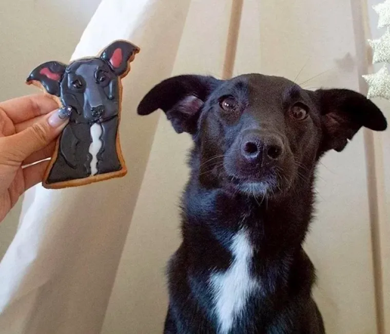 Lijepo i ukusno: Ova jela su prava umjetnička djela