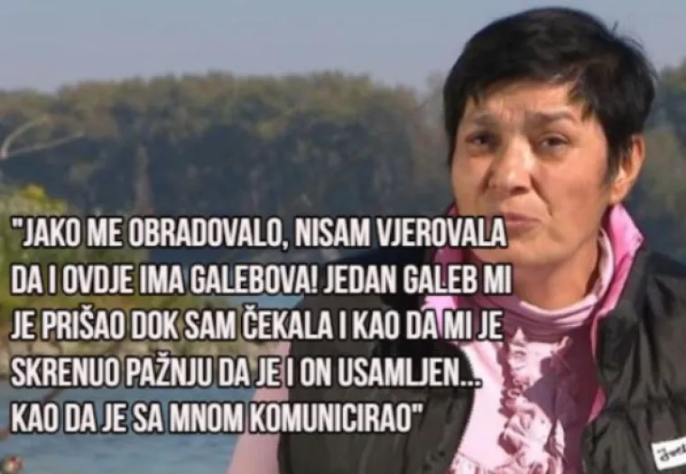 Novi 'bahrizmi': Bahra je sada inspirirana Dunavom i galebovima