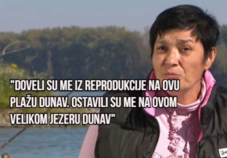 Novi 'bahrizmi': Bahra je sada inspirirana Dunavom i galebovima