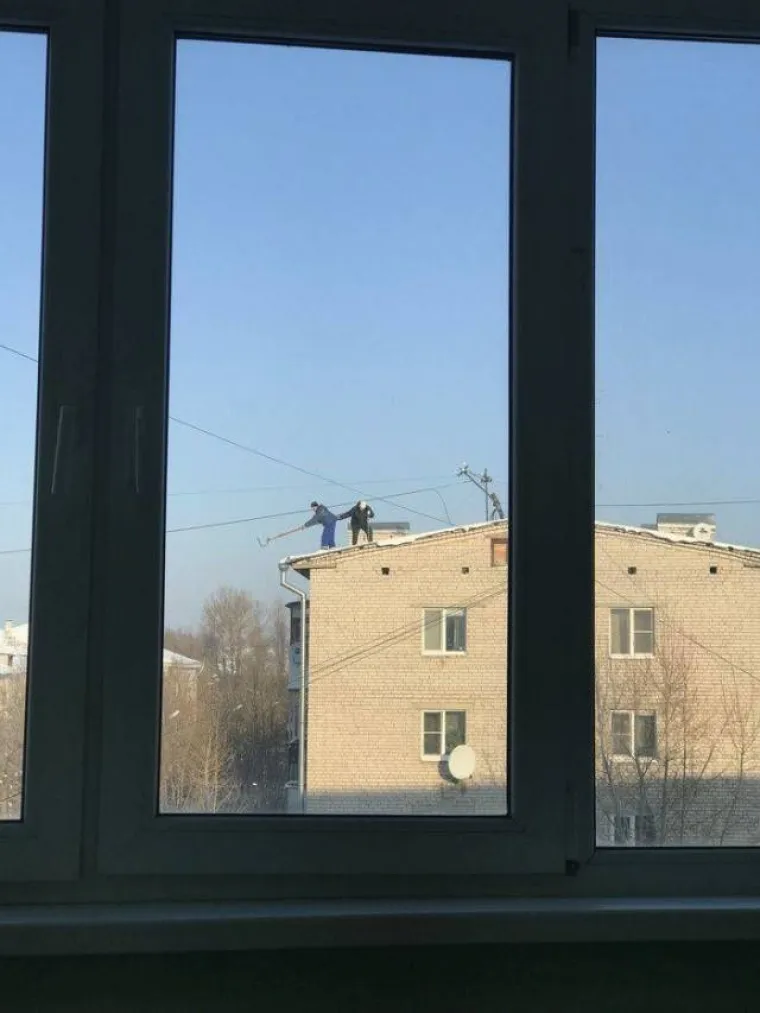 OVAKO BI IZGLEDALI 'GLUP I GLUPLJI' DA SU STVARNI: Ponekad je stvarni svijet puno bizarniji od onog s filmskog platna