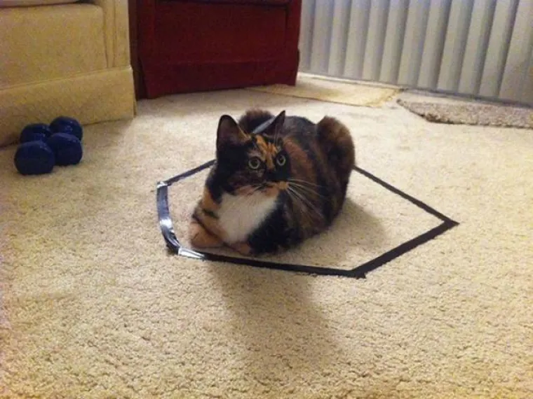 Mačke su poznate po svojim hirovima, od kojih je možda najpoznatiji ljubav prema kutijama. No, izgleda da podjednako vole sve omeđene povr&scaron;ine, a bile one omeđene jednostavnim krugom na tepihu. Kako to djeluje na mačke, pogledajte u urnebesnoj galeriji.