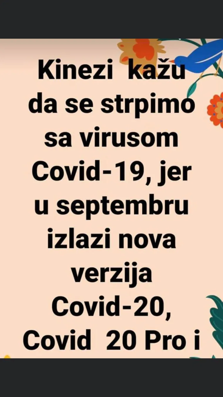 HRVATI ZBIJAJU VRHUNSKE ŠALE NA RAČUN KORONE: 'U dućanima više nema brašna. Kaj je, sad nitko nije alergičan na gluten?'