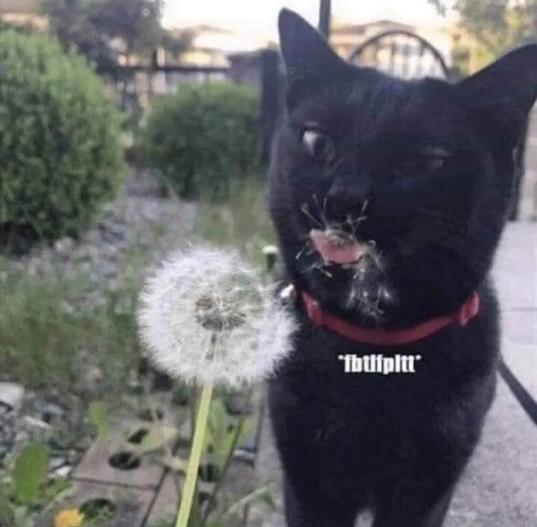 URNEBESNE FOTKE U KOJIMA ĆETE SE PREPOZNATI: Znamo da vam je te&scaron;ko, evo malo smijeha i materijala za taganje frendova