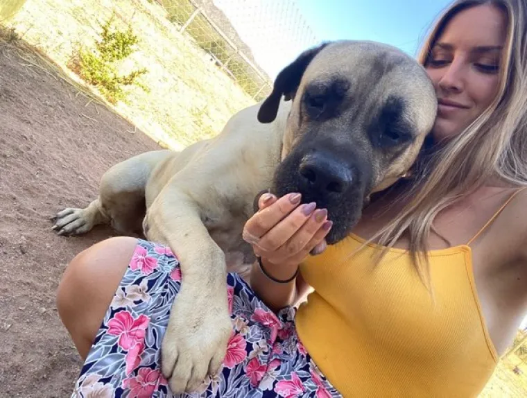 ISKORI&Scaron;TAVAJU PSE ZA LAJKOVE: Sasvim nepotrebno jer i obline koje pr&scaron;te na sve strane jamče sasvim dovoljno pregleda