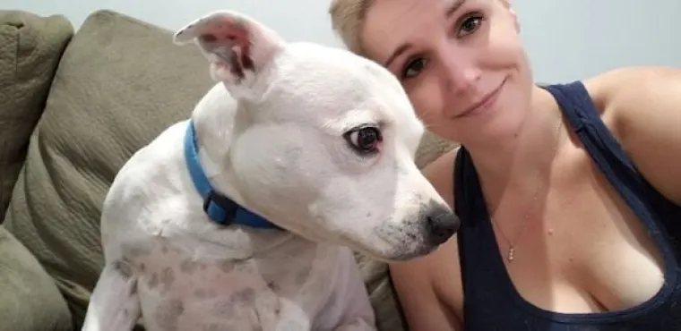 ISKORI&Scaron;TAVAJU PSE ZA LAJKOVE: Sasvim nepotrebno jer i obline koje pr&scaron;te na sve strane jamče sasvim dovoljno pregleda