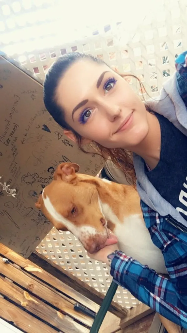 ISKORI&Scaron;TAVAJU PSE ZA LAJKOVE: Sasvim nepotrebno jer i obline koje pr&scaron;te na sve strane jamče sasvim dovoljno pregleda