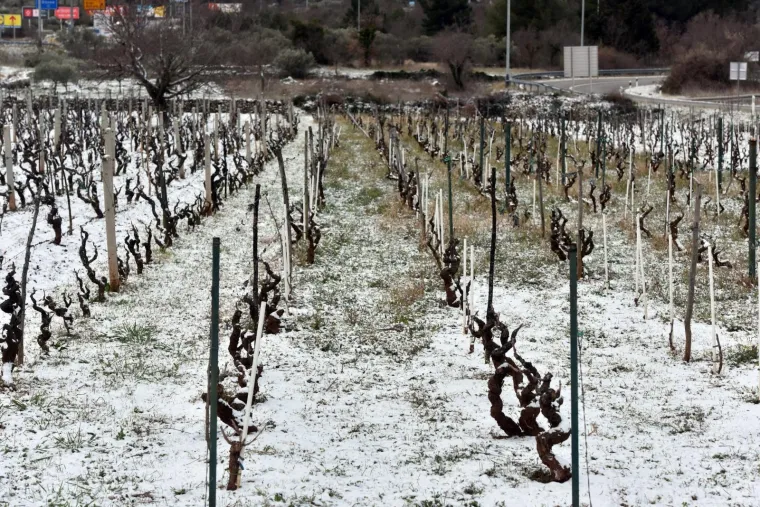 24.03.2020., Sibenik - Snijeg u Sibeniku zabijelio krovove kuca i automobile.
Photo: Hrvoje Jelavic/PIXSELL