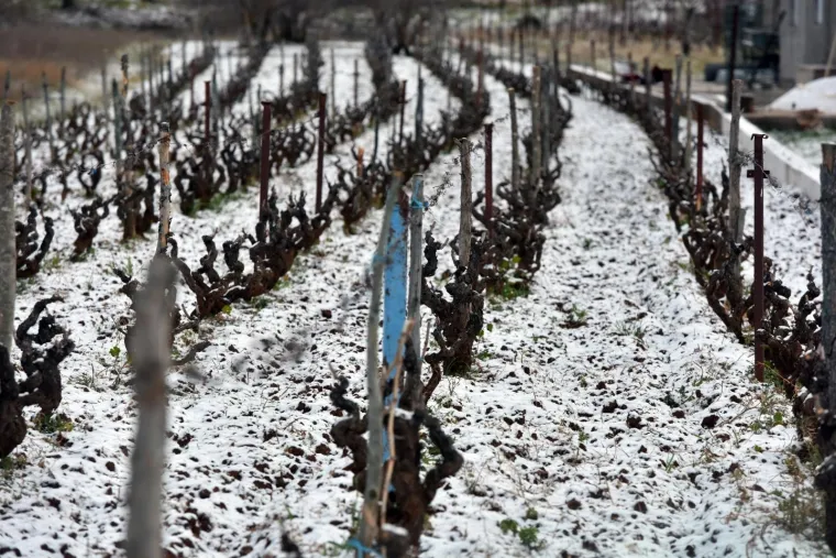 24.03.2020., Sibenik - Snijeg u Sibeniku zabijelio krovove kuca i automobile.
Photo: Hrvoje Jelavic/PIXSELL