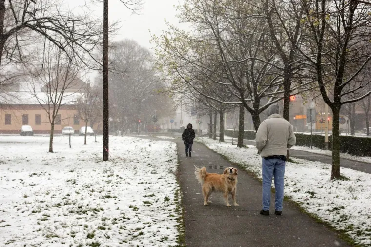 24.03.2020., Osijek - Osijek se probudio pod bijelim pokrivacem od nekoliko centimetara. Snijeg je propadivao gotovo cijelu noc i zbog temperature blizu nuli uspio se zadrzati po krovovima i parkovima Osijeka a i dalje pada.
Photo: Dubravka Petric/PIXSELL