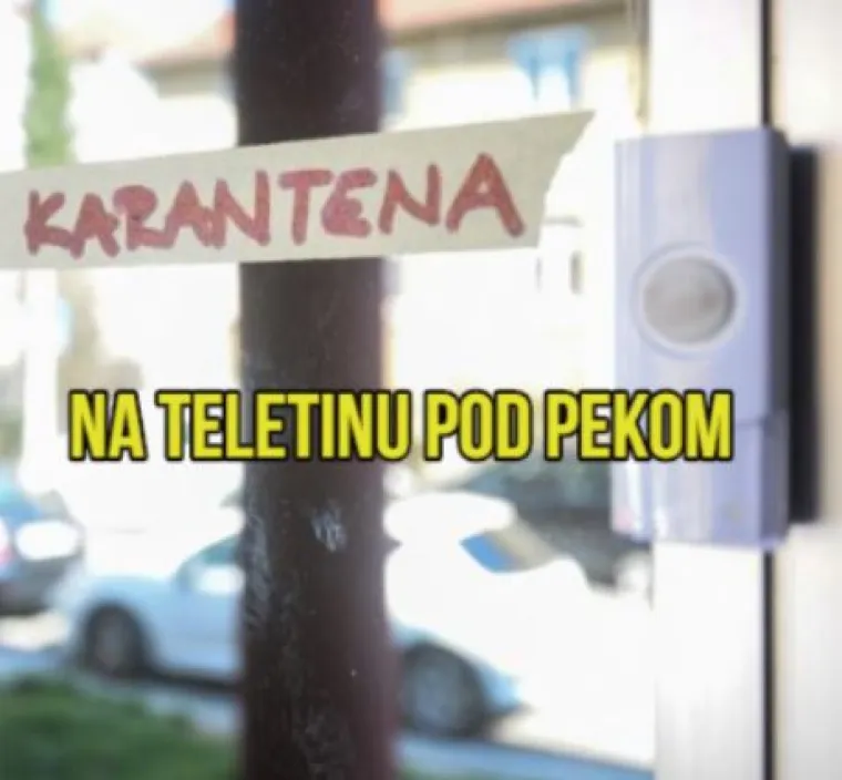 'Zvat ću čovika', 'Lagano kod psihijatra': Evo &scaron;to ste rekli da ćete napraviti čim izađete iz karantene