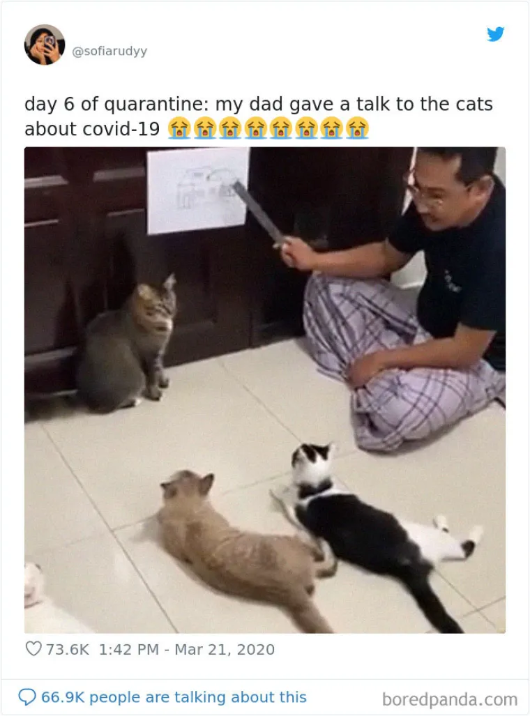 URNEBESNE FOTOGRAFIJE IZ IZOLACIJE: Koliko god bilo te&scaron;ko ovih dana, smisao za humor ipak ostaje